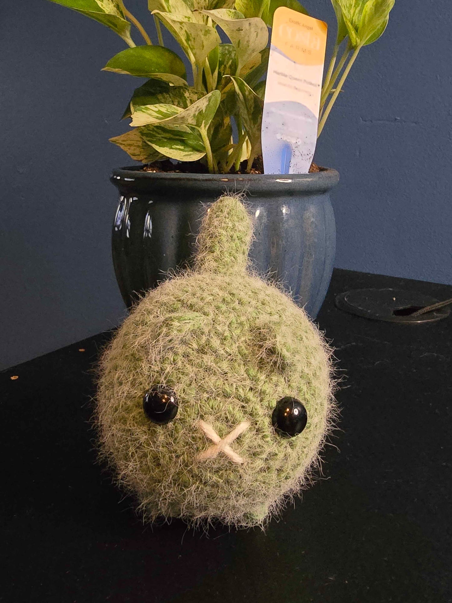 ππ± Green Fuzzy Loaf Cat π±π